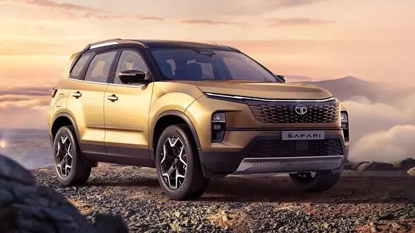 New Cars Launch : నవంబర్ 15న  కొత్త కార్ల జాతర.. మార్కెట్లో యుద్ధం చేసేందుకు రెడీ అవుతున్న కంపెనీలు