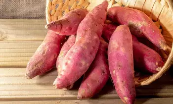 Health Benefits of Sweet Potato: చలికాలపు సూపర్ ఫుడ్.. చిలగడదుంపతో 6 అద్భుత ఆరోగ్య ప్రయోజనాలు