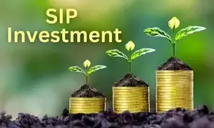 SIP Investors Alert : సిప్ ఇన్వెస్టర్లకు హెచ్చరికా.. ఎక్కువ ఫండ్స్‎లో పెడితే లాభం రాదంటున్న నిపుణులు