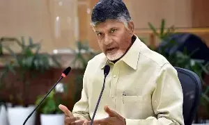 CM Chandrababu:  చంద్రబాబు: ఏపీలో పెట్టుబడులు పెట్టండి.. 45 రోజుల్లో అనుమతులు, జాప్యం లేదు: విశాఖలో పెట్టుబడిదారులకు సీఎం హామీ
