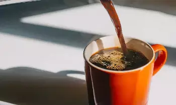 From Digestion to Cholesterol Control: జీర్ణక్రియ నుండి కొలెస్ట్రాల్ వరకు.. ఉదయం పూట ఈ డ్రింక్ తాగితే ఎన్నో అద్భుతాలు From Digestion to Cholesterol Control: జీర్ణక్రియ నుండి కొలెస్ట్రాల్ వరకు.. ఉదయం పూట ఈ డ్రింక్ తాగితే ఎన్నో అద్భుతాలు