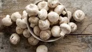 Mushroom: ఆరోగ్యం, అందానికి .. పుట్టగొడుగు Mushroom: ఆరోగ్యం, అందానికి .. పుట్టగొడుగు