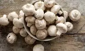 Mushroom: ఆరోగ్యం, అందానికి .. పుట్టగొడుగు Mushroom: ఆరోగ్యం, అందానికి .. పుట్టగొడుగు
