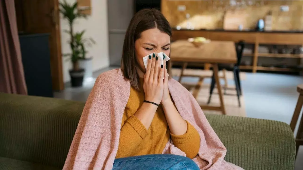 Winter Diseases Under Control: చలికాలంలో వ్యాధులకు చెక్: రోగనిరోధక శక్తిని పెంచే అత్యవసర చిట్కాలు.. Winter Diseases Under Control: చలికాలంలో వ్యాధులకు చెక్: రోగనిరోధక శక్తిని పెంచే అత్యవసర చిట్కాలు..