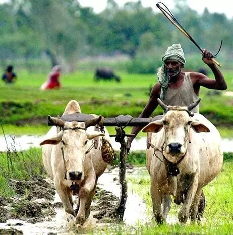 Annadata Sukhibhava: అన్నదాత సుఖీభవ: ఏపీ రైతులకు గుడ్న్యూస్.. 19న రూ.7 వేలు ఖాతాల్లో జమ Annadata Sukhibhava: అన్నదాత సుఖీభవ: ఏపీ రైతులకు గుడ్న్యూస్.. 19న రూ.7 వేలు ఖాతాల్లో జమ