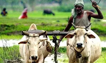 Annadata Sukhibhava: అన్నదాత సుఖీభవ: ఏపీ రైతులకు గుడ్న్యూస్.. 19న రూ.7 వేలు ఖాతాల్లో జమ Annadata Sukhibhava: అన్నదాత సుఖీభవ: ఏపీ రైతులకు గుడ్న్యూస్.. 19న రూ.7 వేలు ఖాతాల్లో జమ