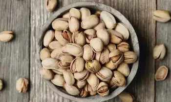 Winter Health Benefits of Pistachios: చలికాలంలో పిస్తా అద్భుతాలు: రోజుకు ఎన్ని తినాలి..? ఎప్పుడు తినాలి..? Winter Health Benefits of Pistachios: చలికాలంలో పిస్తా అద్భుతాలు: రోజుకు ఎన్ని తినాలి..? ఎప్పుడు తినాలి..?
