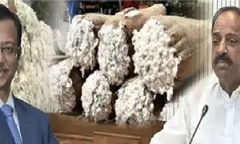 Minister Tummala Nageswara Rao: రైతులకు శుభవార్త.. రేపు (నవంబర్ 19) నుంచి పత్తి కొనుగోళ్లు ప్రారంభం: మంత్రి తుమ్మల నాగేశ్వరరావు Minister Tummala Nageswara Rao: రైతులకు శుభవార్త.. రేపు (నవంబర్ 19) నుంచి పత్తి కొనుగోళ్లు ప్రారంభం: మంత్రి తుమ్మల నాగేశ్వరరావు
