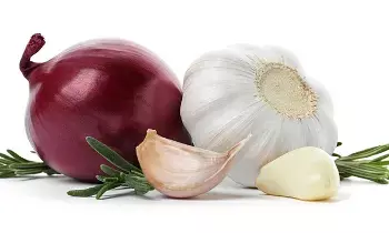 Onion, Garlic, and Ginger Prohibited for Ayyappa Devotees: అయ్యప్ప భక్తులకు..  ఉల్లి, వెల్లుల్లి, అల్లం ఎందుకు నిషిద్ధం?