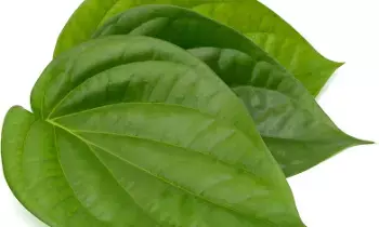 Betel Leaf After Meals:  భోజనం తర్వాత తమలపాకు: ఆరోగ్యానికి మేలు చేస్తుందా?