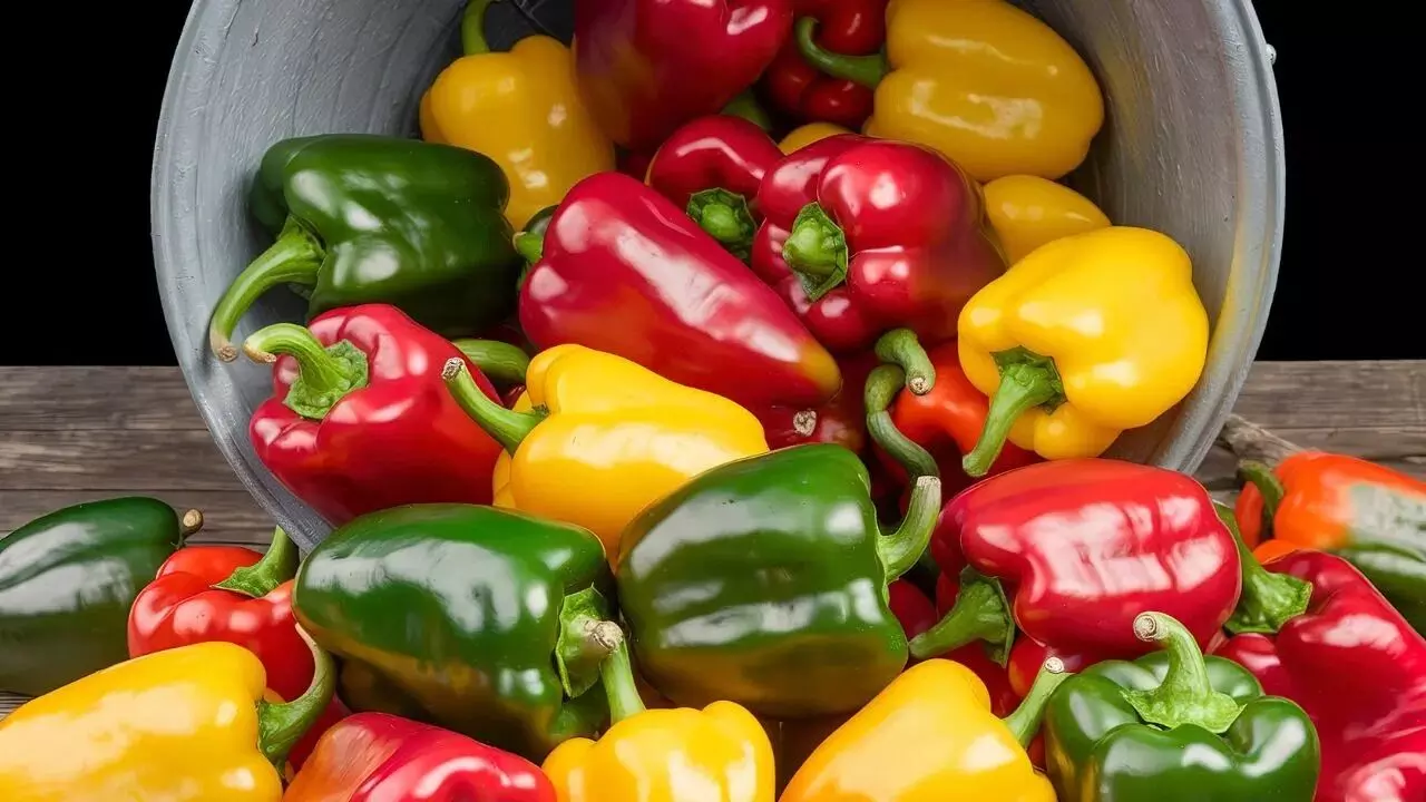 From Weight Loss to Cancer Prevention: బరువు తగ్గడం నుండి క్యాన్సర్ నివారణ వరకు చలికాలంలో క్యాప్సికమ్తో అద్భుతాలే From Weight Loss to Cancer Prevention: బరువు తగ్గడం నుండి క్యాన్సర్ నివారణ వరకు చలికాలంలో క్యాప్సికమ్తో అద్భుతాలే