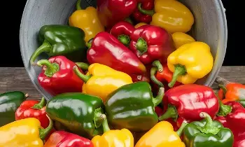 From Weight Loss to Cancer Prevention: బరువు తగ్గడం నుండి క్యాన్సర్ నివారణ వరకు చలికాలంలో క్యాప్సికమ్తో అద్భుతాలే From Weight Loss to Cancer Prevention: బరువు తగ్గడం నుండి క్యాన్సర్ నివారణ వరకు చలికాలంలో క్యాప్సికమ్తో అద్భుతాలే