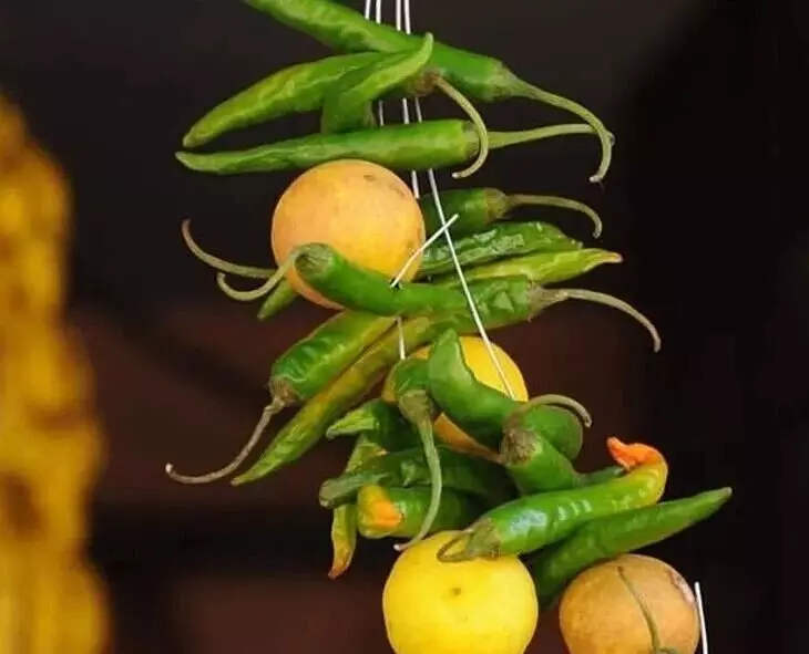 Hang Lemon and Chillies at the Door: గుమ్మానికి నిమ్మ, మిరపకాయ ఎందుకు కడతారు?