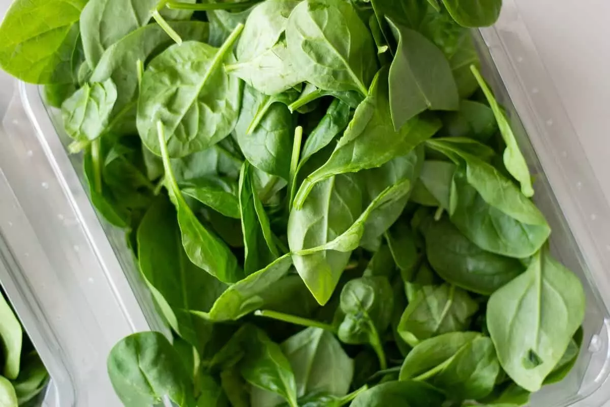 Health Benefits of Bachalakura (Malabar Spinach): ఆకుకూరల రారాజు బచ్చలికూరతో అద్భుత ప్రయోజనాలు