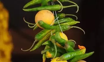 Hang Lemon and Chillies at the Door: గుమ్మానికి నిమ్మ, మిరపకాయ ఎందుకు కడతారు? Hang Lemon and Chillies at the Door: గుమ్మానికి నిమ్మ, మిరపకాయ ఎందుకు కడతారు?