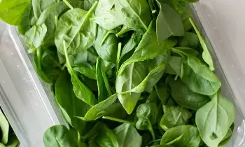 Health Benefits of Bachalakura (Malabar Spinach): ఆకుకూరల రారాజు బచ్చలికూరతో అద్భుత ప్రయోజనాలు