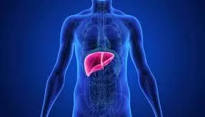 Silent killers of the liver:  కాలేయానికి సైలెంట్ కిల్లర్స్.. ఇవి ఆల్కహాల్ కంటే ప్రమాదకరమైనవి..