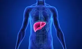Silent killers of the liver:  కాలేయానికి సైలెంట్ కిల్లర్స్.. ఇవి ఆల్కహాల్ కంటే ప్రమాదకరమైనవి..