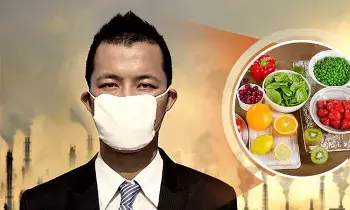 Protect You from Pollution: ఇవి తింటే పొల్యూషన్ నుంచి రక్షించుకోవచ్చు Protect You from Pollution: ఇవి తింటే పొల్యూషన్ నుంచి రక్షించుకోవచ్చు