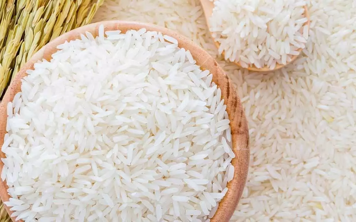 Eating Polish Rice: పాలిష్ రైస్ తింటే కల్గే నష్టాలివే..