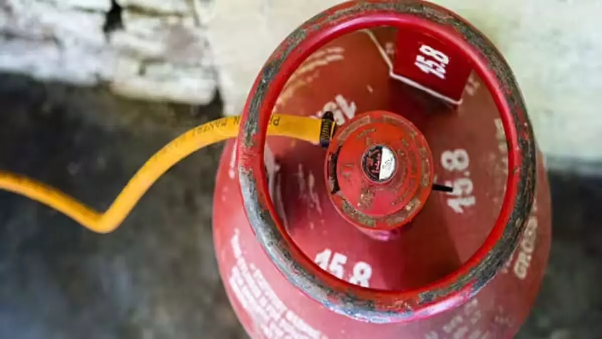 Gas Leak Emergency:  గ్యాస్ లీకైనపుడు..వెంటనే ఏం చేయాలి..ఏం చేయకూడదు.?