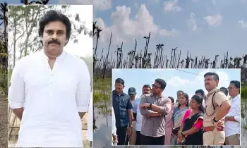 Deputy CM Pawan Kalyan: కొబ్బరి రైతుల హక్కుల కోసం పోరాడతానని స్పష్టం చేసిన ఉప ముఖ్యమంత్రి పవన్ కల్యాణ్