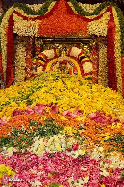 Sri Padmavati Amavari Pushpayaagam Ceremony: శోభాయమానంగా శ్రీ పద్మావతి అమ్మవారి పుష్పయాగం