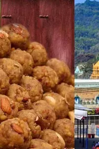 TTD Ghee Scam:  టీటీడీ కల్తీ నెయ్యి కేసు: సిట్ మరో 11 మందిని నిందితులుగా చేర్చింది