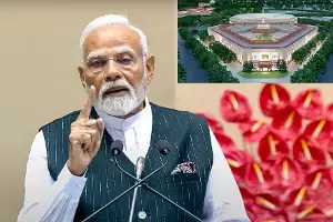 Parliament Winter Session: పార్లమెంటు శీతాకాల సమావేశాలు: 10 ముఖ్య బిల్లులతో డిసెంబర్ 1 నుంచి ప్రారంభం