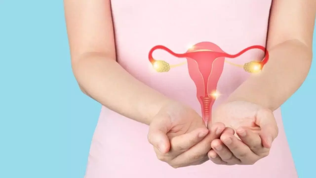 PCOS: పీసీఓఎస్ సమస్య ఉంటే తప్పకుండా ఇవి పాటించాల్సిందే.. PCOS: పీసీఓఎస్ సమస్య ఉంటే తప్పకుండా ఇవి పాటించాల్సిందే..