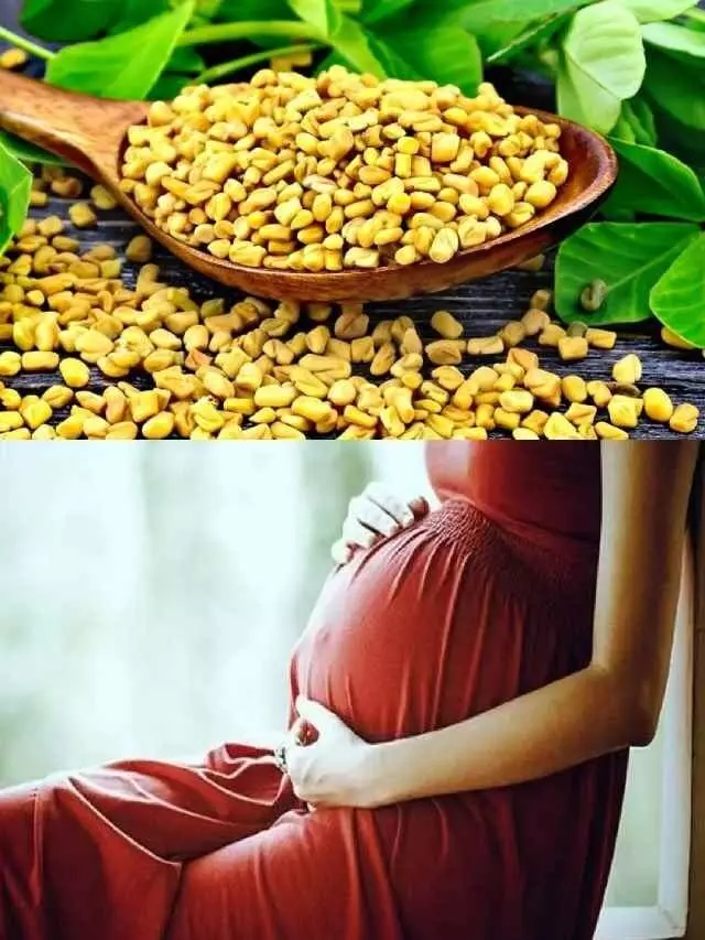 Consuming Fenugreek During Pregnancy: ప్రెగ్నెన్సీ టైంలో మెంతులు తీసుకుంటే అబార్షన్ అవుతుందా.? Consuming Fenugreek During Pregnancy: ప్రెగ్నెన్సీ టైంలో మెంతులు తీసుకుంటే అబార్షన్ అవుతుందా.?