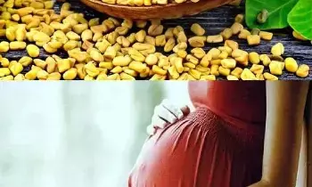 Consuming Fenugreek During Pregnancy: ప్రెగ్నెన్సీ టైంలో మెంతులు తీసుకుంటే అబార్షన్ అవుతుందా.?