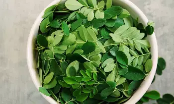 This Leaf Can Keep Diseases in Check:  ఈ ఆకుతో జబ్బులకు చెక్.. రోజూ తింటే అద్భుత ఆరోగ్య ప్రయోజనాలు