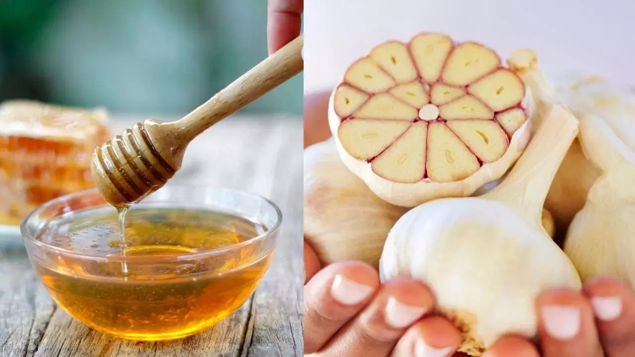 వెల్లుల్లితో తేనె.. ఆరోగ్య సంజీవని.. ఊబకాయంతో సహా అనేక సమస్యలకు చెక్