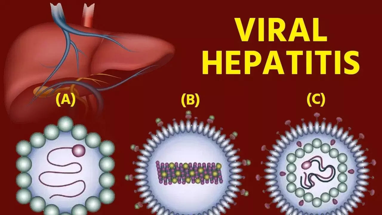 Hepatitis B Alert: హెపటైటిస్ బి హెచ్చరిక: వీటిని నిర్లక్ష్యం చేస్తే కాలేయం దెబ్బతినడం ఖాయం..