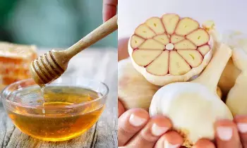 వెల్లుల్లితో తేనె.. ఆరోగ్య సంజీవని.. ఊబకాయంతో సహా అనేక సమస్యలకు చెక్