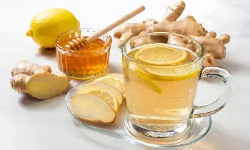 Drinking Ginger Water Before Bed: రాత్రి పడుకునే ముందు అల్లం నీరు తాగితే.. ఒక నెలలో ఈ అద్భుత ప్రయోజనాలు.. Drinking Ginger Water Before Bed: రాత్రి పడుకునే ముందు అల్లం నీరు తాగితే.. ఒక నెలలో ఈ అద్భుత ప్రయోజనాలు..