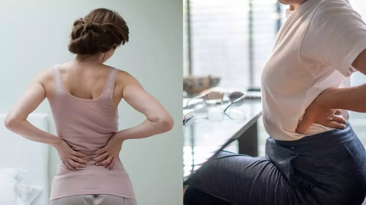 Lower Back Pain Occur During Periods: నెలసరిలో నడుం నొప్పి ఎందుకొస్తుందంటే..? Lower Back Pain Occur During Periods: నెలసరిలో నడుం నొప్పి ఎందుకొస్తుందంటే..?