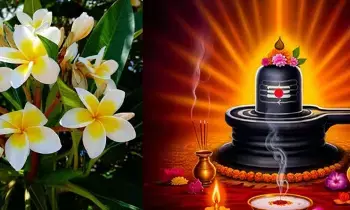 Ketaki Flower: కేతకీ పుష్పం అంటే ఏంటి.. శివుడి పూజలో ఎందుకు వాడొద్దు.? Ketaki Flower: కేతకీ పుష్పం అంటే ఏంటి.. శివుడి పూజలో ఎందుకు వాడొద్దు.?