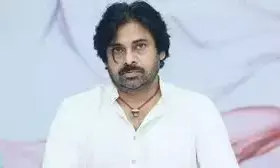 Pawan Appears Before Delhi High Court: ఢిల్లీ హైకోర్టుకు పవన్.. కీలక ఆదేశాలిచ్చిన న్యాయస్థానం