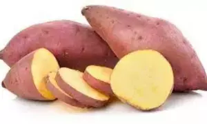 Sweet Potatoes : చిలగడదుంపలను వీటితో కలిపి తీసుకుంటే ఆ వ్యాధులన్నీ నయం..