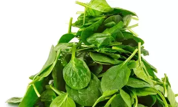 Vegetarians’ Problem:  శాఖాహారుల సమస్య: విటమిన్ B12 లోపం ఉంటే.. ఈ ఆకుకూరలు తప్పక తినండి..