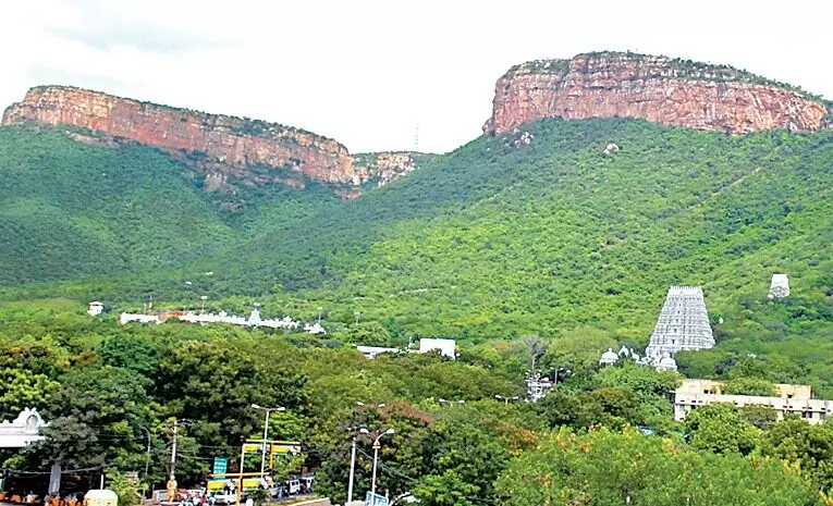 TTD’s Divya Vriksha Project: దేశ చరిత్రలోనే తొలిసారి.. 100 ఎకరాల్లో టీటీడీ దివ్య వృక్షాల ప్రాజెక్టు TTD’s Divya Vriksha Project: దేశ చరిత్రలోనే తొలిసారి.. 100 ఎకరాల్లో టీటీడీ దివ్య వృక్షాల ప్రాజెక్టు