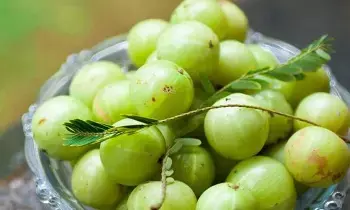 Benefits of Amla for Women’s Health: మహిళలకు ఉసిరి వల్ల కల్గే ప్రయోజనాలు Benefits of Amla for Women’s Health: మహిళలకు ఉసిరి వల్ల కల్గే ప్రయోజనాలు