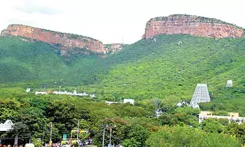 TTD’s Divya Vriksha Project: దేశ చరిత్రలోనే తొలిసారి.. 100 ఎకరాల్లో  టీటీడీ దివ్య వృక్షాల ప్రాజెక్టు