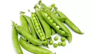 Green Peas in Winter: చలికాలంలో పచ్చి బఠానీలు: తింటే లాభాలు అన్నీ ఇన్నీ కావు.. Green Peas in Winter: చలికాలంలో పచ్చి బఠానీలు: తింటే లాభాలు అన్నీ ఇన్నీ కావు..