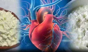 Avoid Butter and Cheese for Heart Health: గుండె ఆరోగ్యం కోసం వెన్న, జున్ను మానేయడం అవసరమా? కొత్త అధ్యయనాలు ఏమంటున్నాయి?