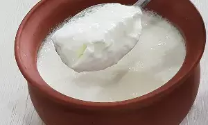 Eating Curd at Night During Winter: శీతాకాలంలో రాత్రిపూట పెరుగు తింటున్నారా?