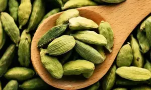 Eat These Before Bed:  పడుకునే ముందు ఇవి తింటే చాలు.. ఆ సమస్యలన్నీ మాయం..