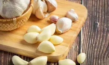 Eating Garlic on an Empty Stomach in the Morning: ఉదయాన్నే ఖాళీ కడుపుతో వెల్లుల్లి.. ఈ లాభాలు తెలిస్తే అస్సలు వదలరు